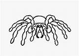 Coloring Spider Pages Bugs Kids sketch template