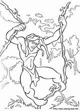 Tarzan Coloring Coloriage Pages Disney Dessin Book Imprimer Colouring Ausmalbilder Info Jungle Printables Printable Sheets Para Colorir Desenhos Color Drawings sketch template