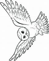 Eule Hedwig Chouette Coloriages Enfant Malvorlagen Weasley Ginny Selber Lettre Mescoloriages Depuis sketch template