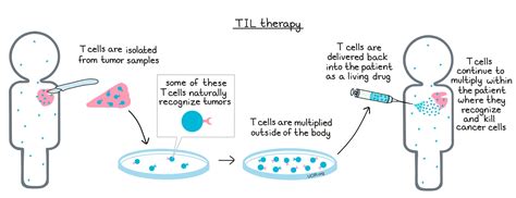 cell therapy