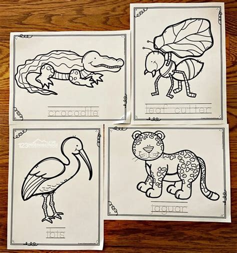 jungle animal coloring pages  preschoolers images okocom
