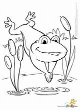 Coloring Pages Frog Froggy Print Jumping Printable Getdrawings Getcolorings sketch template