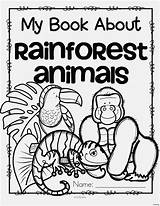 Rainforest Animals Kindergarten Kids Habitat Forest Kidsparkz Rainforests Staggering Inspirations Getdrawings Dxf Eps Gcssi sketch template