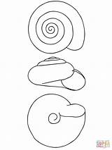 Snail Coloring Shell Pages Drawing Printable Color Online Puzzle Getdrawings sketch template