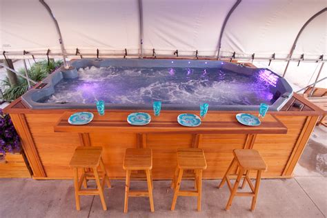spa manufacturers  hot tubs spas clearwater florida