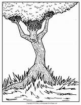 Coloring Pages Tree Adult Surrealism Choose Board Mac Man sketch template