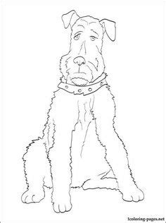 airedale terrier coloring page scot airedale dog coloring page