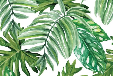 watercolor palm leaves wallpapers top  watercolor palm leaves