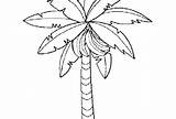 Banana Tree Coloring Outline Pages Bunch Drawing Leaves Template Clipart Netart Getdrawings Drawings Paintingvalley sketch template