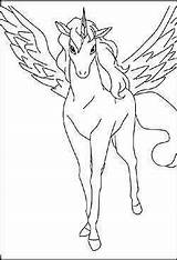 Pegasus Einhorn Ausmalbilder Ausmalen Eenhoorn Vleugels Malvorlagen Pferde Eenhoorns Lyria Onchao Pferd Uitprinten Downloaden Regenboog Terborg600 sketch template
