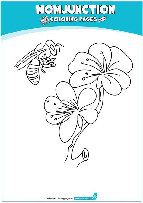 flowers  bees  butterfly coloring page bug coloring pages