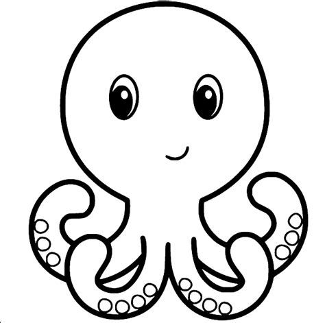 octopus coloring pages discover  dangerous creature   sea