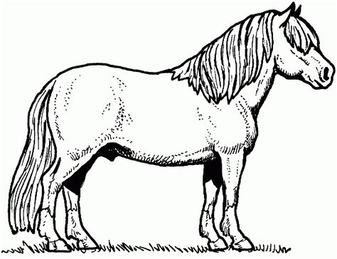 horse head coloring pages  print horse head coloring pages