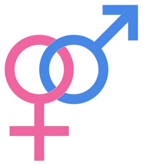 heterosexuality sexuality wiki fandom powered by wikia