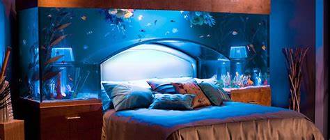 have collected a few images for Custom Aquarium Design to help you 