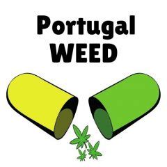 portugalweedcom  melhor haxixe  maconha ao seu alcance em casa em portugal ilhas cabo verde
