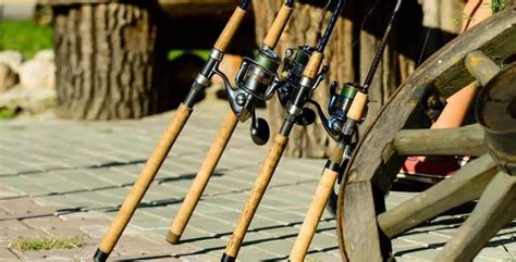 bass fishing rods    experts