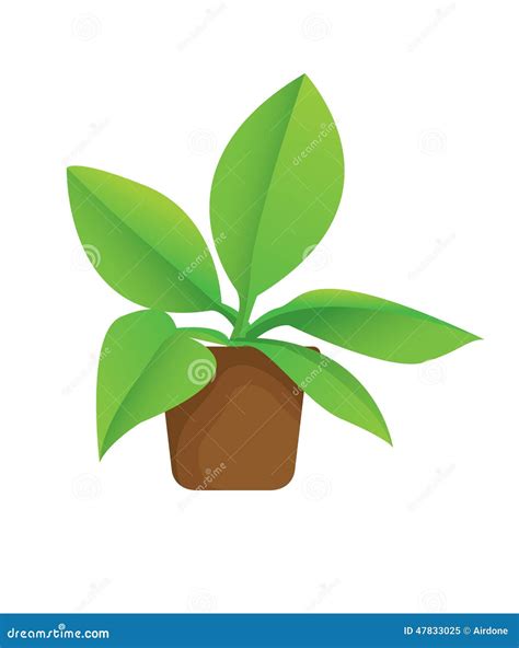 plant  pot stock vector image