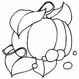 Pumpkin Coloring Pages Thanksgiving Cute Printable Kids Color Drawing Pumpkins Leaves Print Blank Halloween Little Getcolorings Getdrawings Clipartmag Categories sketch template
