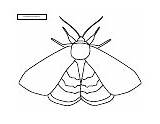 Moth Alison Ainsworth sketch template