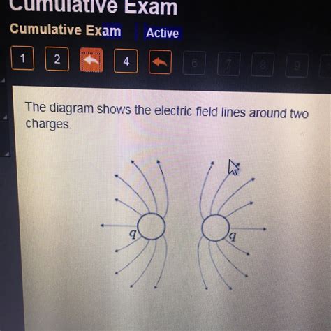 diagram shows  electric field lines   charges based