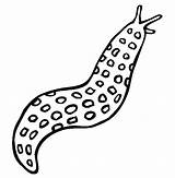 Coloring Slug Slimmy Colornimbus sketch template