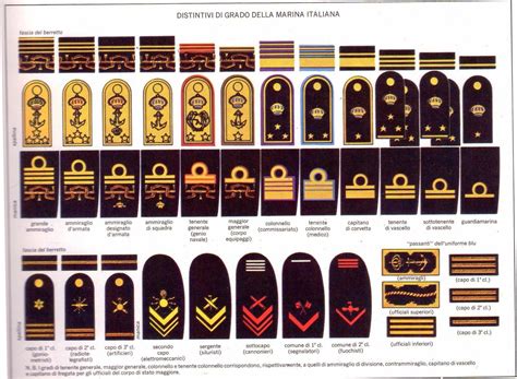 Distintivi E Gradi Della Regia Marina Military Ranks Military