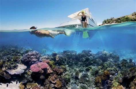 coral reefs generate  billion  tourism  year   offer