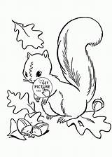 Coloring Squirrel Fall Pages Leaves Jungle Drawing Acorn Autumn Drawings Kids Line Sword Stone Printable Sheets Wuppsy Getdrawings Template Cute sketch template