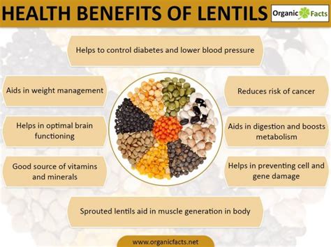 Health Benefits Of Lentil Consumption Epic Top 5 Epictop5
