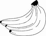 Banane Colorat Desene sketch template