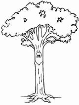 Trees Coloring Kids Cute Pages Children sketch template