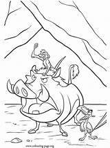Coloring Timon Pumbaa Pages Lion King Zazu Popular sketch template