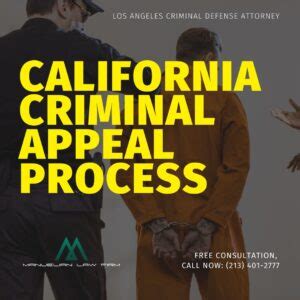 california criminal appeal process manuelian law firm