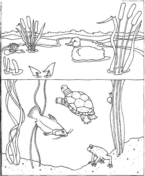 coloring page water cycle coloring home