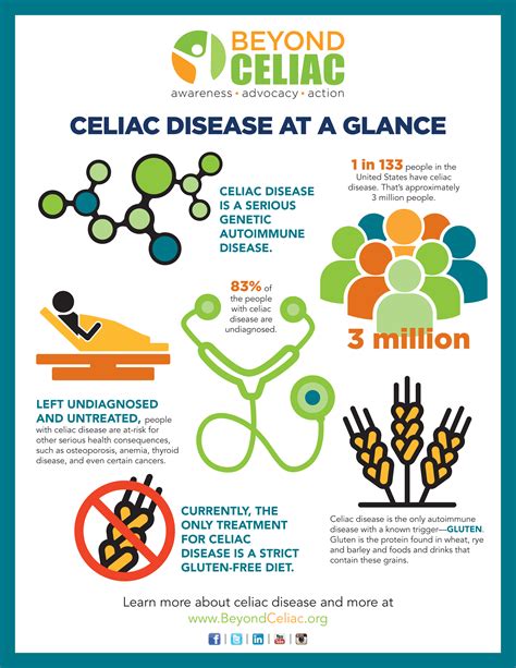 fast facts  celiac disease infographic beyondceliacorg