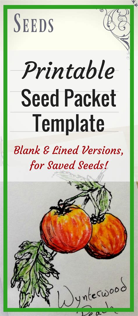 printable seed packet template seed packet template seed packets seeds