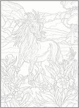 Coloring Horse Pages Color Number Horses Adult Numbers Haven Creative Book Doverpublications Paint Colouring sketch template