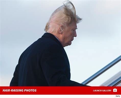 president trumps hair meets stiff wind hair loses badly tmzcom