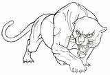 Panther Drawing Drawings Line Sketch Animal Realistic Marvel Sketches Pencil Tattoo Getdrawings Visit Colorful sketch template