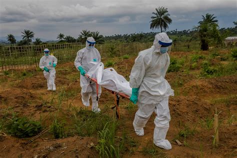 ebola victims  infectious  week  death scientists find   york times