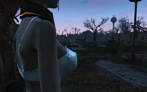 One True Underwear At Fallout 4 Nexus Mods And Community