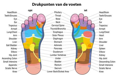 voetreflex massage wat  voetreflexologie voordelen