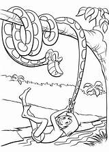 Mogli Schlange Ausmalbild Kaa Zieht Schwanz Dschungelbuch sketch template