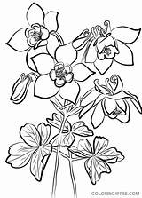 Coloring4free Columbine sketch template