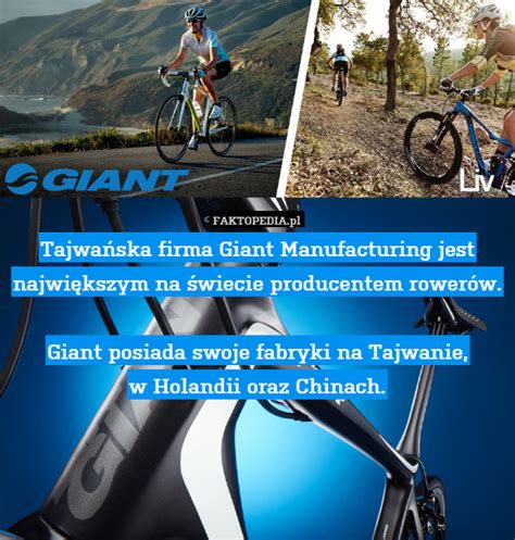 tajwanska firma giant manufacturing jest najwiekszym na swiecie producentem