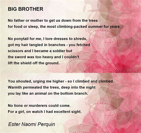 Big Brother By Ester Naomi Perquin Big Brother Poem