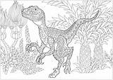 Velociraptor Dinosaur Coloring Dinosaurs Pages Adults Zentangle Doodle Dinosaurios Para Colorear Adult Stylized Elements Justcolor Seleccionar Tablero Adultos sketch template