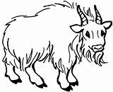 Capra Kolorowanki Zwierzeta Nevi Bueffel Hoernern Cartoon Goats Druku Malvorlage sketch template