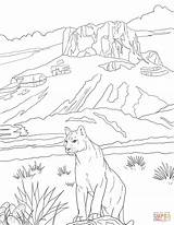 Coloring National Park Big Bend Pages Mountain Lion Printable Drawing Puma Texas Click Kids sketch template